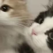 开架 ！！