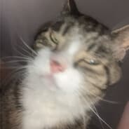 Jenf