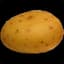 Potato31