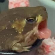 Padinki