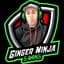 Ginger Ninja Gaming