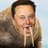Elon Tusk