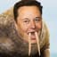Elon Tusk