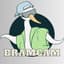 Bramcam