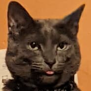 Big Kat