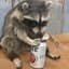 RacoonOfTheDepths