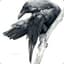 Raven3er