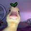 DerpyDuck342