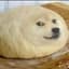 DogeBread