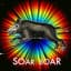 Soar Boar