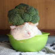 SuicideBroccoli