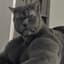BinBear