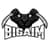 BigAim