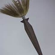 Dix Inormus