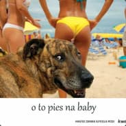 Pies na baby
