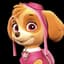 Stella From PAW Patrol