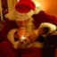 FENTA CLAUS