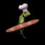 .fwg ShibbityShwab