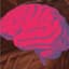 brain