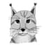 Ilves