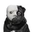 PhantomPug