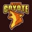 WileyCoyote