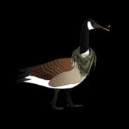 ☠Goose☠