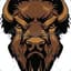 JoeeBuffalo