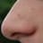 Nose