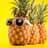 ✭Pineapple✭