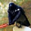 Bird Vader