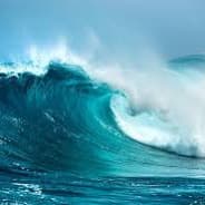 Reef