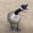Goose