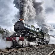 -TL- шок ColeTrain