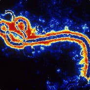 GoodOldEbola