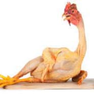 Chinese chicken