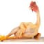 Chinese chicken