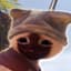 Tubbs
