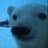 PolarBearExpress
