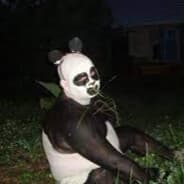 Pandaztik