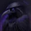 Raven
