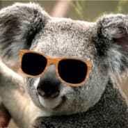 Pepsi Koala