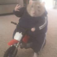 Fat mouse 24