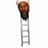 Osama Bin Ladder