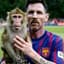 Monkey Messi