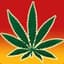 MarijuanaMan