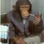 Monkeysjit