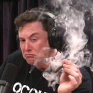 elon