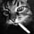 Cat with a ciggy