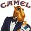 Joe Camel